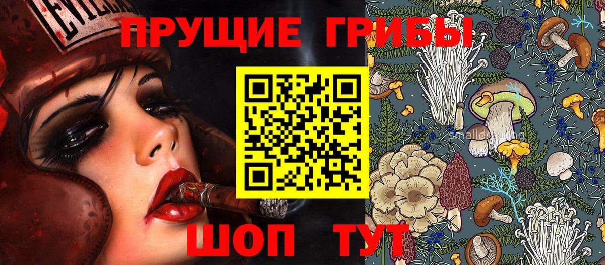Галлюциногенные грибы Psilocybe Ленинск-Кузнецкий